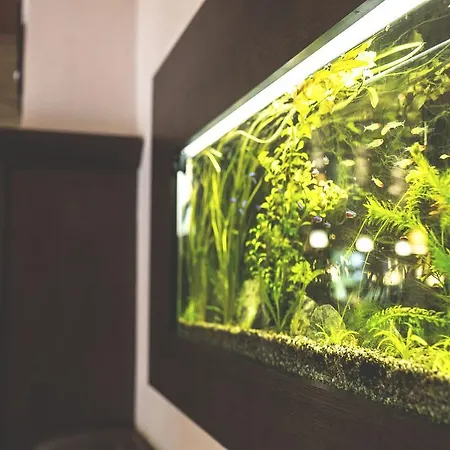 Hotel Racek Úštěk