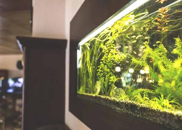 Hotell Racek Úštěk